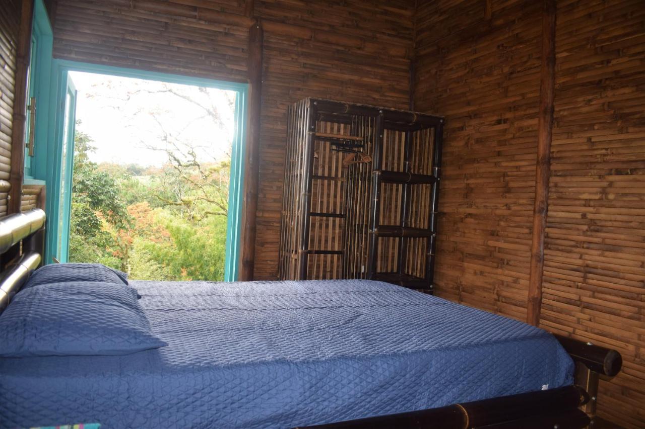 Casa De Bambu Villa Turrialba Kültér fotó
