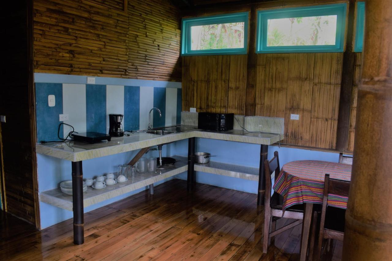 Casa De Bambu Villa Turrialba Kültér fotó